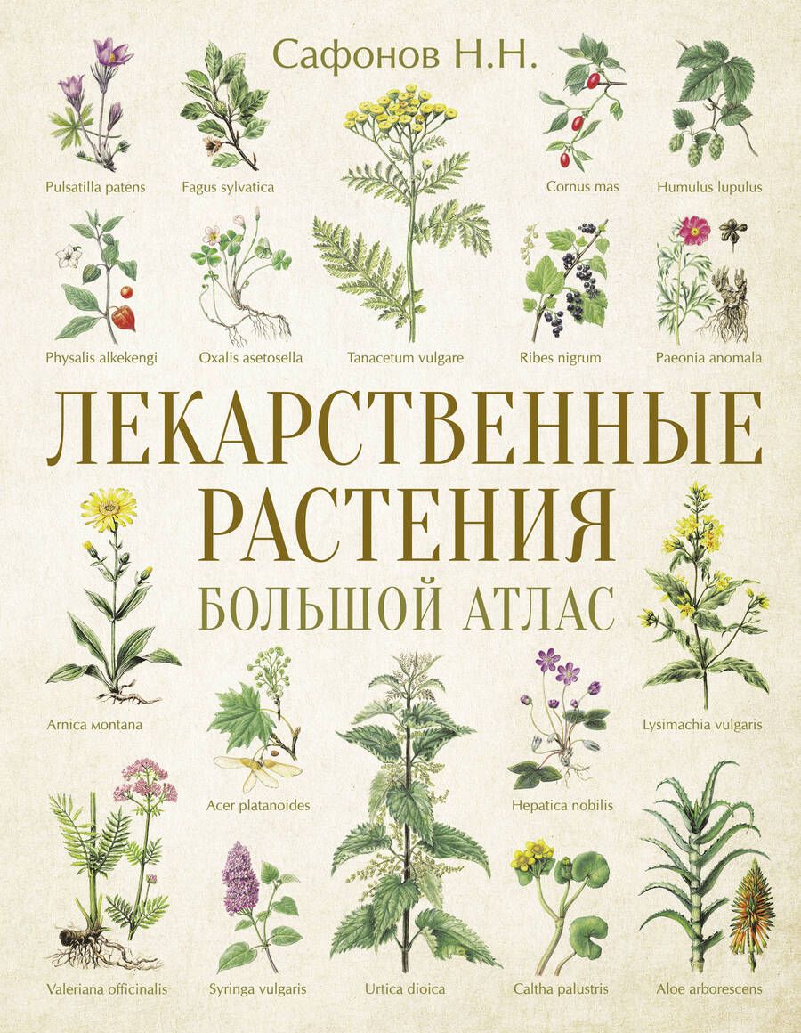 Обложка книги "Сафонов: Лекарственные растения. Большой атлас"