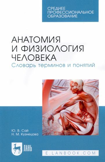 Обложка книги "Сай, Кузнецова: Анатомия и физиология человека. Словарь терминов и понятий. Учебное пособие"