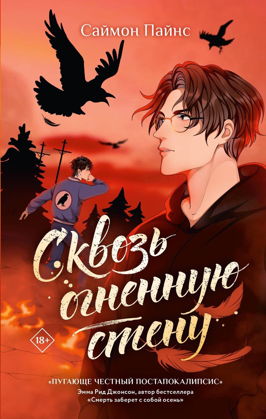 Обложка книги "Саймон Пайнс: Сквозь огненную стену"