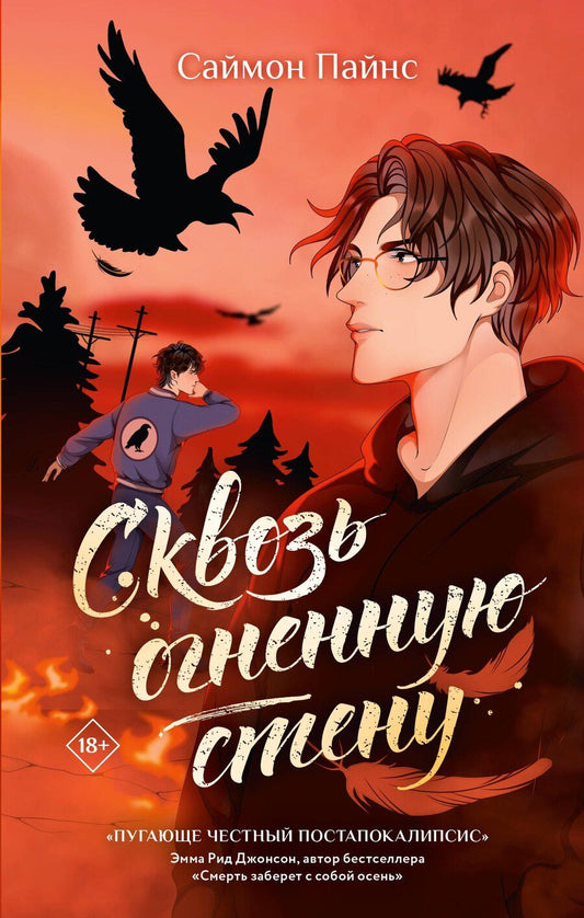 Обложка книги "Саймон Пайнс: Сквозь огненную стену"