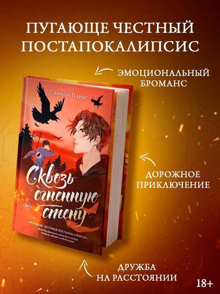 Фотография книги "Саймон Пайнс: Сквозь огненную стену"