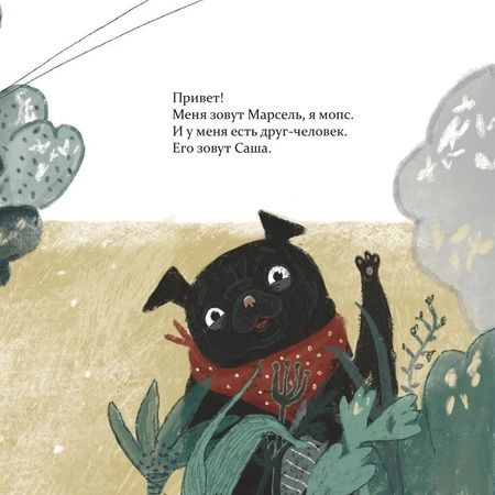 Фотография книги "Саламатина: Марсель встает на лапы. Сказка"