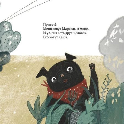 Фотография книги "Саламатина: Марсель встает на лапы. Сказка"