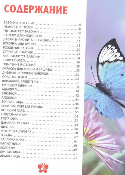 Фотография книги "Самые красивые бабочки. Детская энциклопедия"