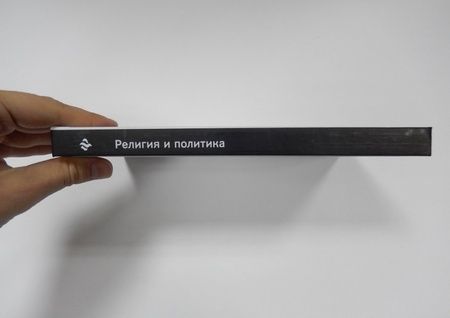 Фотография книги "Самыгин, Нечипуренко, Воденко: Религия и политика. Учебное пособие. ФГОС"