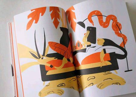 Фотография книги "Самсон: Зеб."