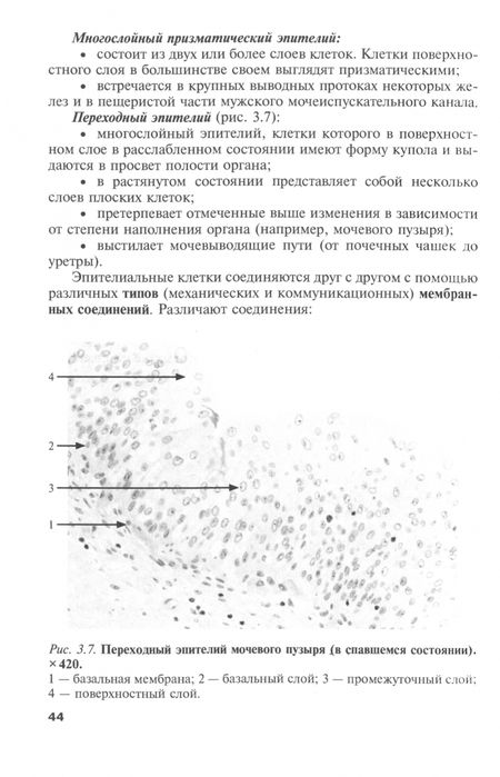 Фотография книги "Самусев, Капитонова: Общая и частная гистология"