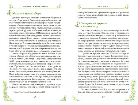 Фотография книги "Сандра Кайнс: Магия деревьев. Как соединиться с их духом и стать мудрее"