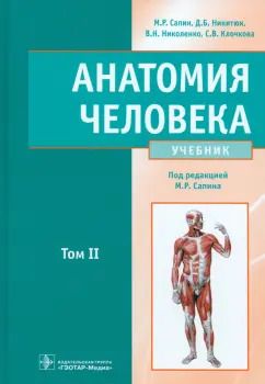Обложка книги "Сапин, Николенко, Никитюк: Анатомия человека. Учебник. В 2-х томах. Том 2"