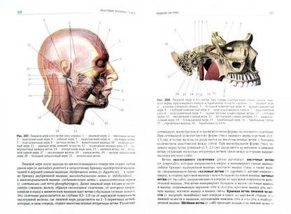 Фотография книги "Сапин, Николенко, Никитюк: Анатомия человека. Учебник. В 2-х томах. Том 2"