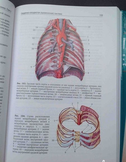Фотография книги "Сапин, Николенко, Никитюк: Анатомия человека. Учебник. В 2-х томах. Том 2"