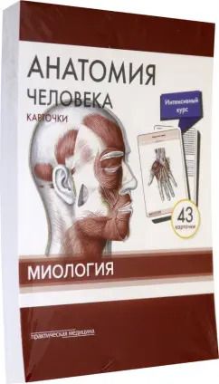 Обложка книги "Сапин, Николенко, Тимофеева: Анатомия человека. Карточки. Миология"
