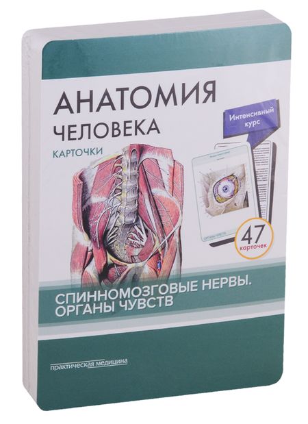 Фотография книги "Сапин, Николенко, Тимофеева: Анатомия человека. Карточки. Спинномозговые нервы и органы чувств (47 карточек)"