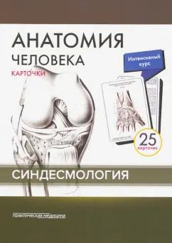 Обложка книги "Сапин, Николенко, Тимофеева: Анатомия человека. Синдесмология (25 карточек)"