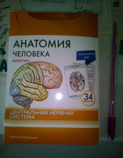 Фотография книги "Сапин, Николенко, Тимофеева: Анатомия человека. Центральная нервная система. Карточки (34 шт)"