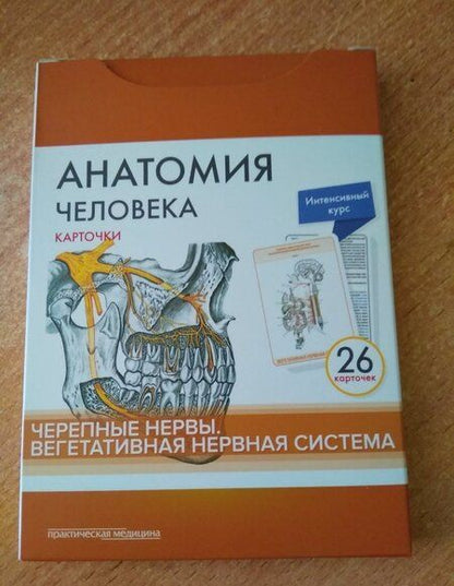 Фотография книги "Сапин, Николенко, Тимофеева: Анатомия человека.Черепные нервы. Карточки (26 шт)"
