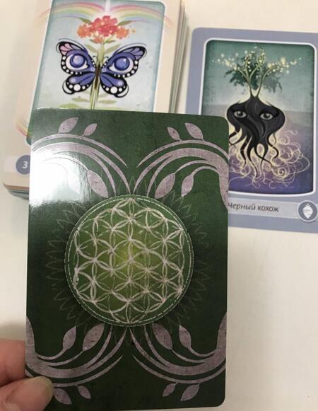 Фотография книги "Сара Болдуин: Оракул матери природы (48 карт + книга)"