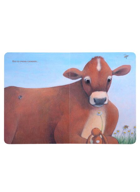 Фотография книги "Сара Хури: Чачо в деревне"