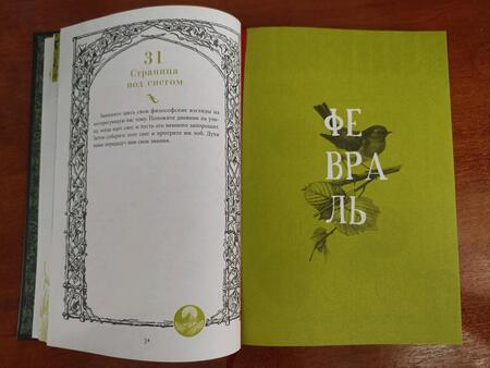 Фотография книги "Саргсян: Дневник Теней. 365 дней творческой магии! Бумажные заклинания и ритуалы за 5 минут"