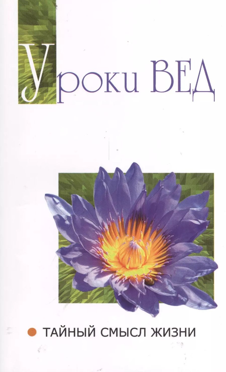 Обложка книги "Сатья Бхагаван: Уроки вед Тайный смысл жизни (мСвБожИст) (+2 изд)"