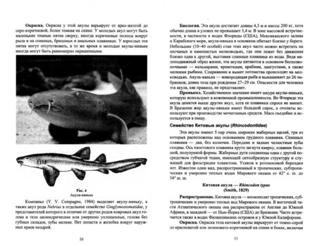 Фотография книги "Саускан: Краткое описание промысловых рыб Мирового океана. Акулы и скаты. Учебное пособие"