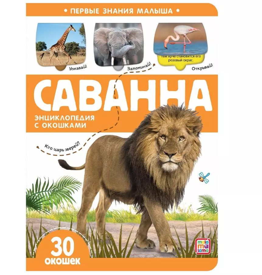 Обложка книги "Саванна. Книжка с окошками"