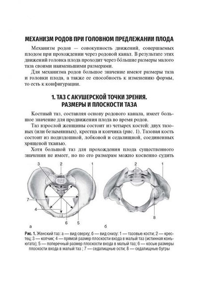 Фотография книги "Савельева, Курцер, Сичинава: Механизм родов при головном предлежании плода. Учебное пособие"