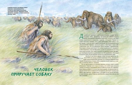 Фотография книги "Савва Сафонов: Ездовые собаки. Великий транспорт Севера"