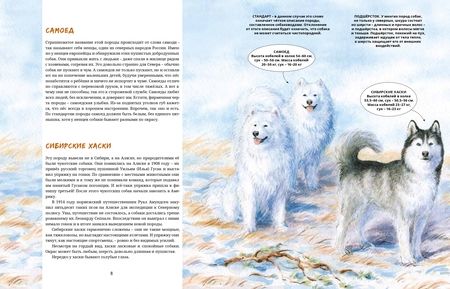 Фотография книги "Савва Сафонов: Ездовые собаки. Великий транспорт Севера"