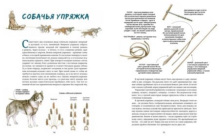 Фотография книги "Савва Сафонов: Ездовые собаки. Великий транспорт Севера"