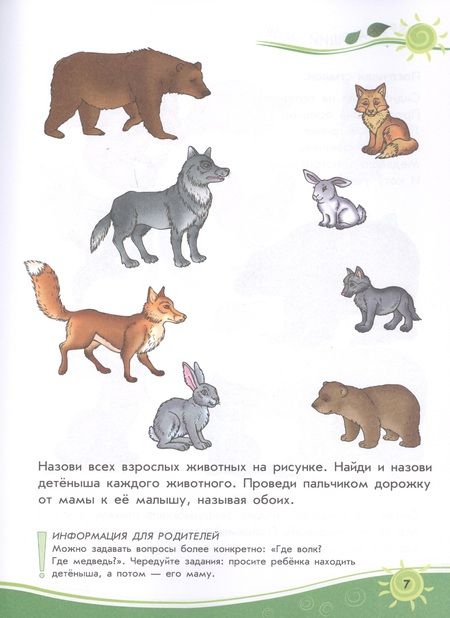 Фотография книги "Сборник развивающих заданий. 2-3 года"