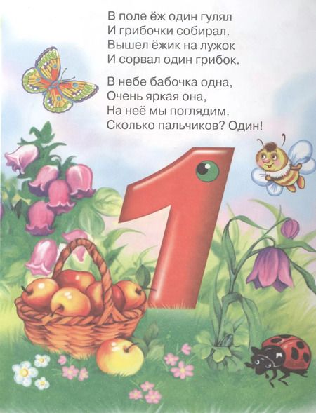 Фотография книги "Считаем на пальчиках (учимся правильно считать)"