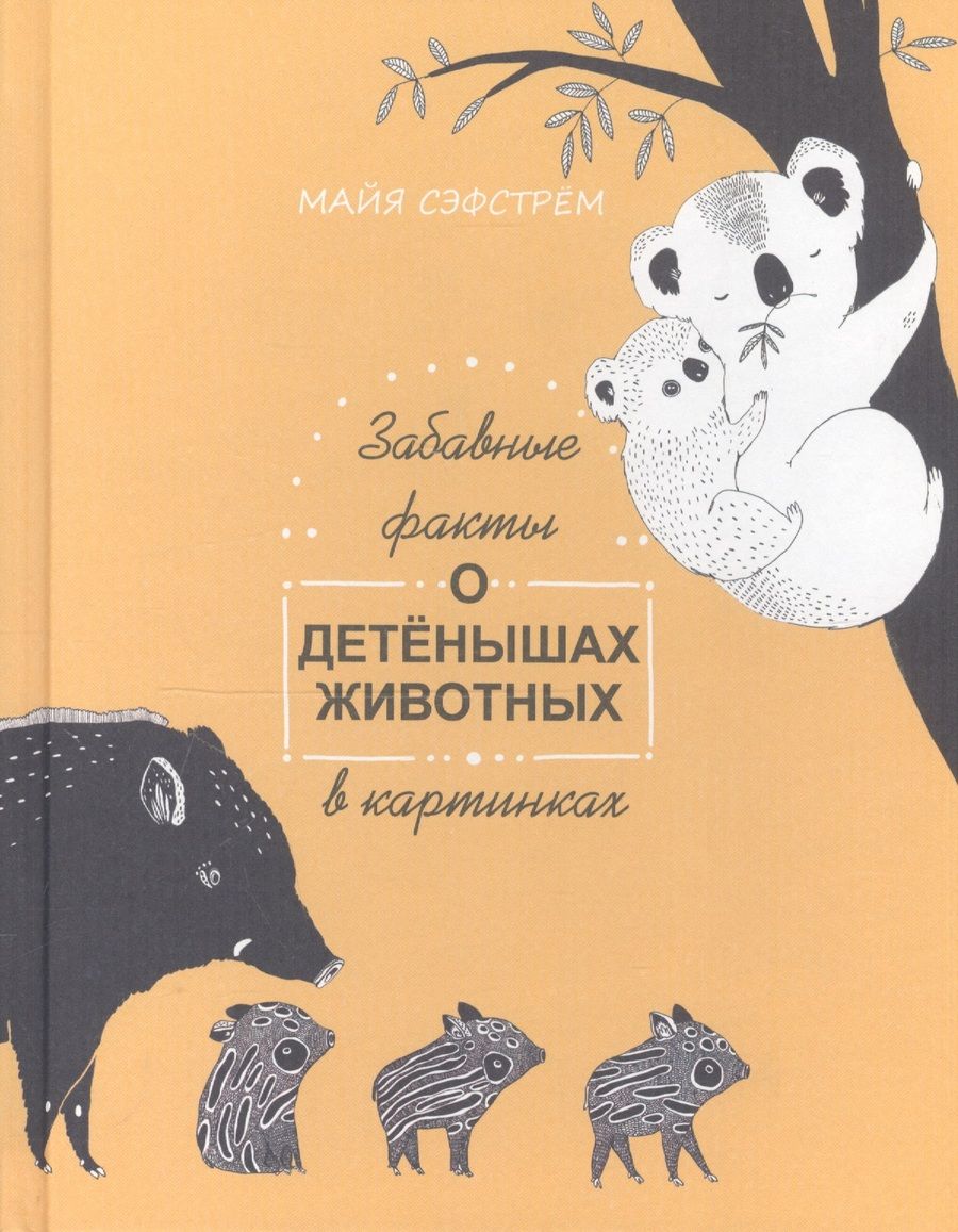 Обложка книги "Сэфстрем: Забавные факты о детёнышах животных в картинках"