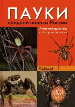 Обложка книги "Сейфулина, Карцев: Пауки средней полосы России. Атлас - определитель с обзором биологии"