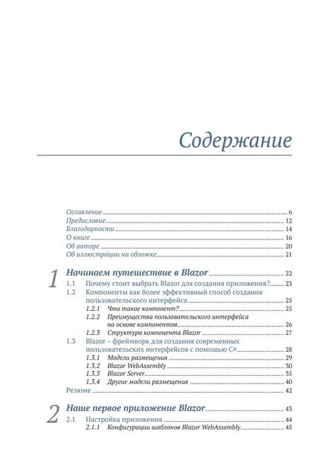 Фотография книги "Сэйнти: BLAZOR в действии"