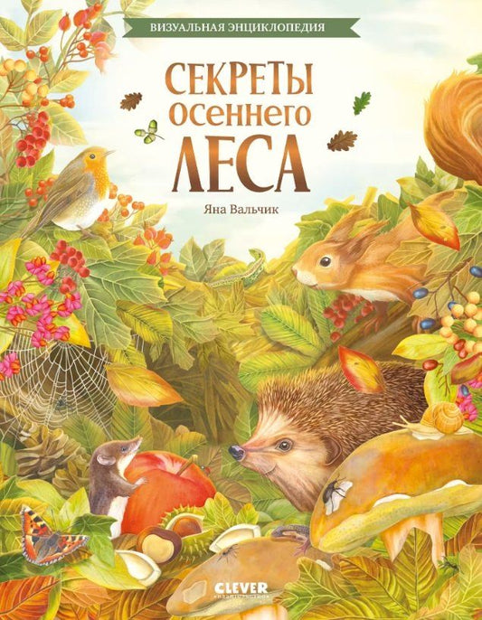 Обложка книги "Секреты осеннего леса. Визуальная энциклопедия"