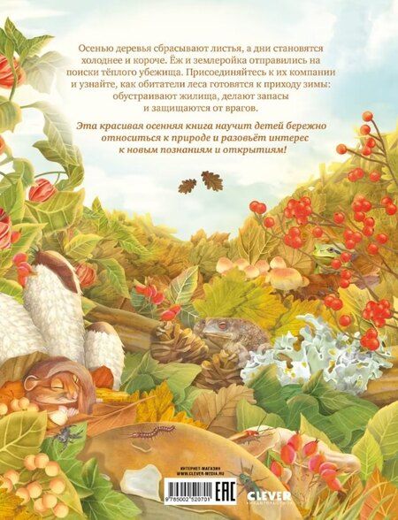 Фотография книги "Секреты осеннего леса. Визуальная энциклопедия"