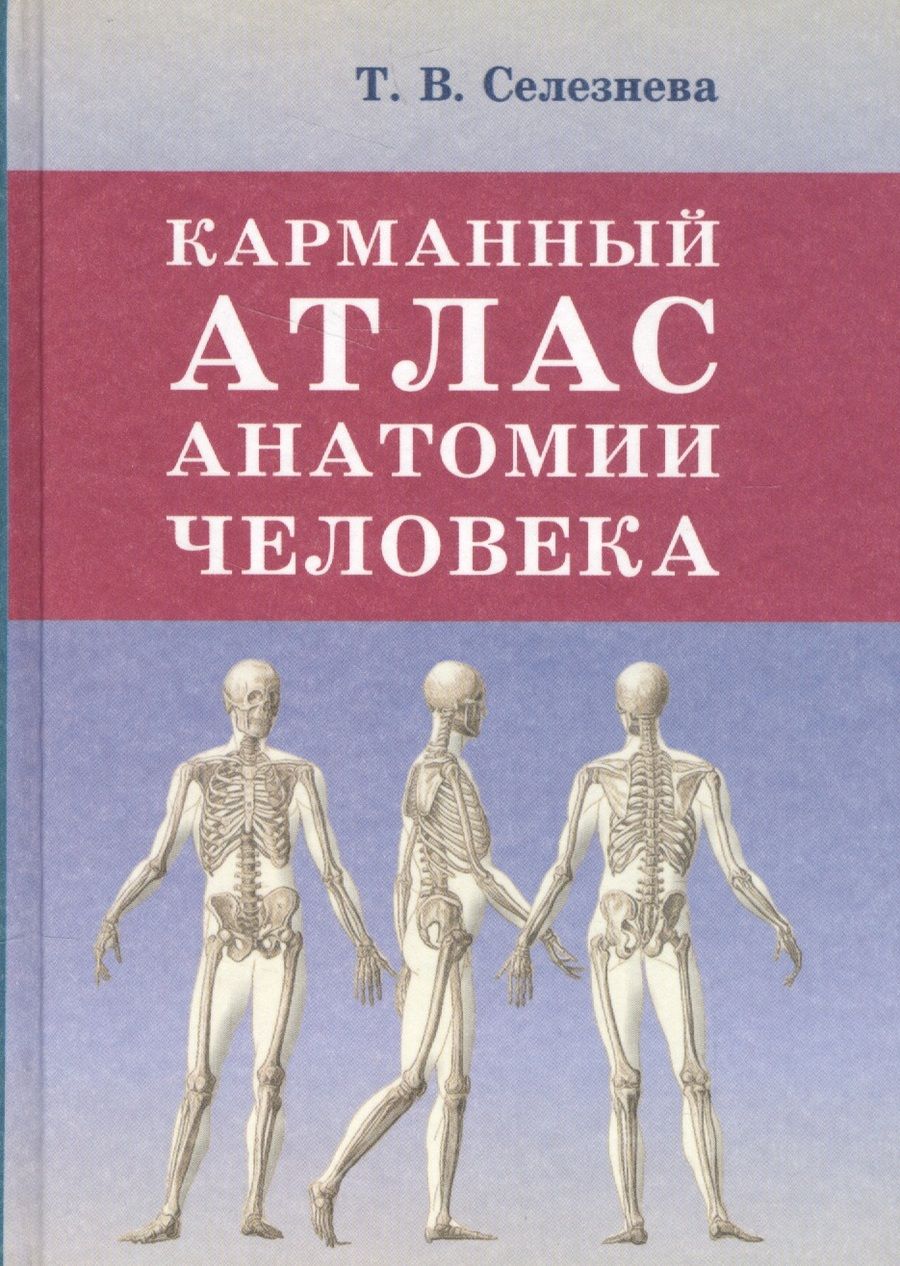 Обложка книги "Селезнева: Карманный атлас анатомии человека"