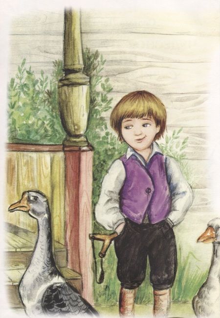 Фотография книги "Сельма Лагерлеф: Чудесное путешествие Нильса с дикими гусями"