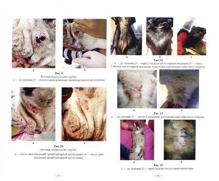 Фотография книги "Семенов, Рыбин, Гусева: Применение тромбоцитарной аутоплазмы при болезнях кожи мелких домашних животных"