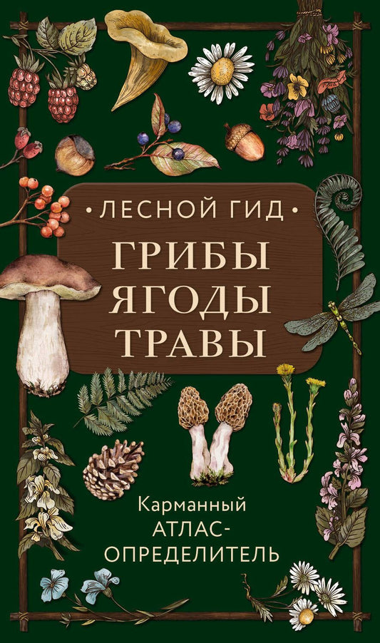 Обложка книги "Семенова: Лесной гид. Грибы, ягоды, травы. Карманный атлас-определитель"