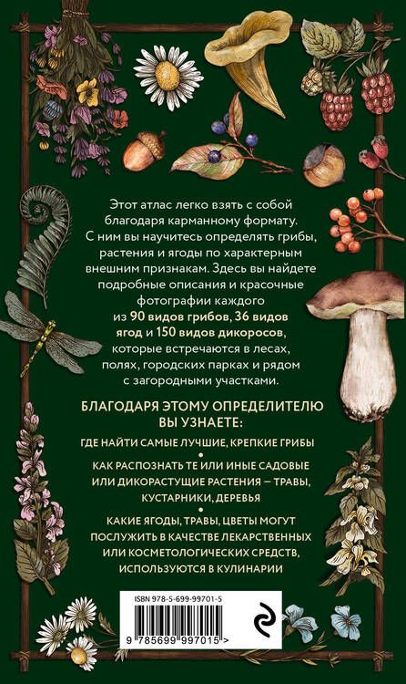 Фотография книги "Семенова: Лесной гид. Грибы, ягоды, травы. Карманный атлас-определитель"