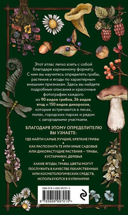 Фотография книги "Семенова: Лесной гид. Грибы, ягоды, травы. Карманный атлас-определитель"