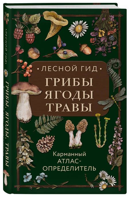 Фотография книги "Семенова: Лесной гид. Грибы, ягоды, травы. Карманный атлас-определитель"