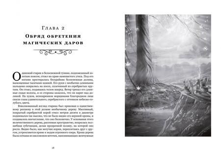 Фотография книги "Семенова: Заоблачность. Легенда о долине Вельдогенериуса"