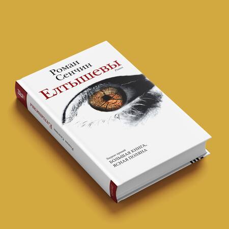 Фотография книги "Сенчин: Елтышевы"
