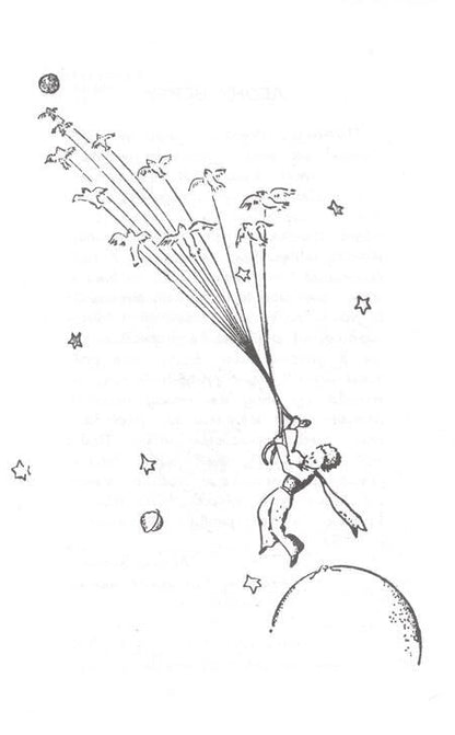 Фотография книги "Сент-Экзюпери: Маленький принц"