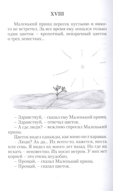 Фотография книги "Сент-Экзюпери: Маленький принц"