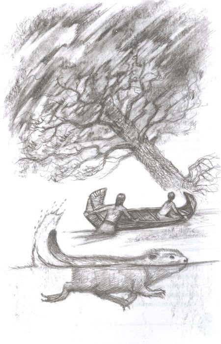 Фотография книги "Серая: Приключения Саджо и ее бобров"