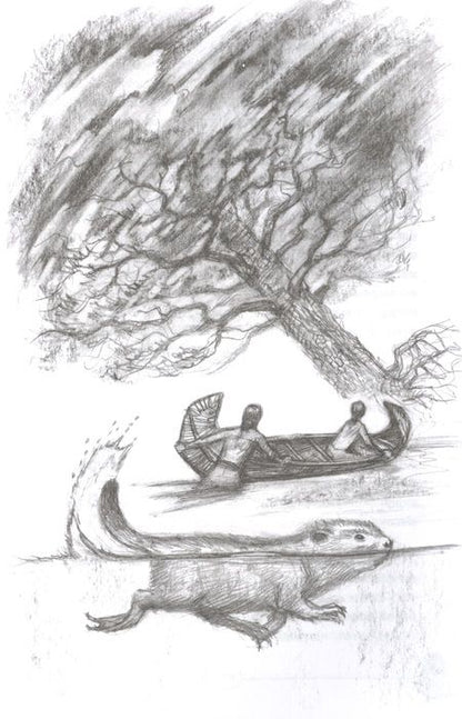 Фотография книги "Серая: Приключения Саджо и ее бобров"